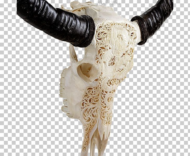 Horn Skull Bone Antler Cattle PNG, Clipart, Antique, Antler, Barbed Wire, Bone, Carving Free PNG Download