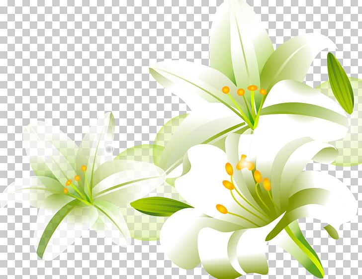 Lilium Cartoon PNG, Clipart, Adobe Illustrator, Art, Computer Wallpaper, Cut Flowers, Flora Free PNG Download