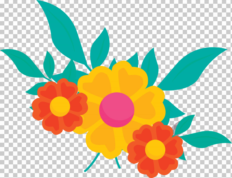Cinco De Mayo PNG, Clipart, Biology, Cinco De Mayo, Cut Flowers, Floral Design, Flower Free PNG Download