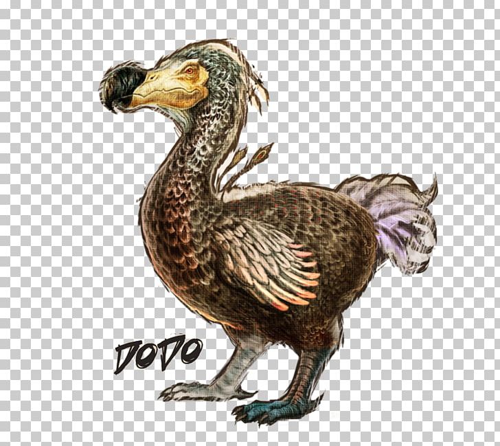 ARK: Survival Evolved Dodo Allosaurus Mosasaurus Dinosaur PNG, Clipart, Allosaurus, Ark Survival Evolved, Beak, Bird, Bird Of Prey Free PNG Download