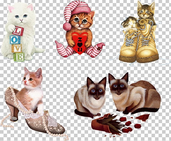 Cat GIF Kitten PNG, Clipart, Animals, Animation, Blog, Carnivoran, Cat Free PNG Download
