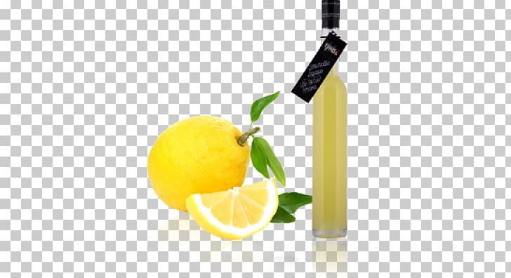 Electronic Cigarette Culaccino Nicotine Flavor PNG, Clipart, Cigarette, Citric Acid, Citrus, Distilled Beverage, Drink Free PNG Download