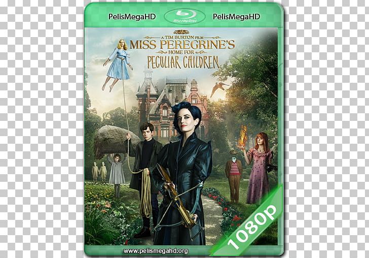 Miss Peregrine's Home For Peculiar Children Adventure Film Trailer DVD PNG, Clipart,  Free PNG Download