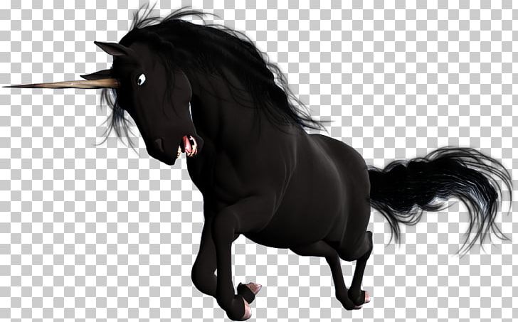 Mustang Mane Stallion Pony Unicorn PNG, Clipart, Black, Black Unicorn, Daz, Deviantart, Fictional Character Free PNG Download