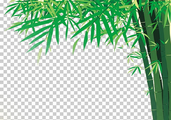 Bamboo Illustration PNG, Clipart, Bamboo Border, Bamboo Floor, Bamboo Frame, Bamboo House, Bamboo Leaf Free PNG Download