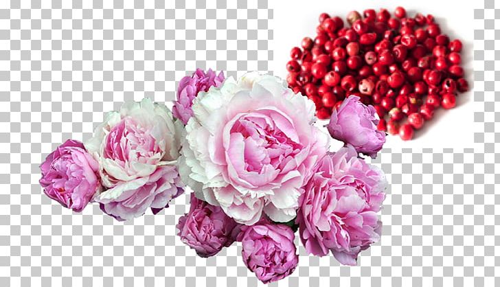 Chinese Peony PNG, Clipart,  Free PNG Download