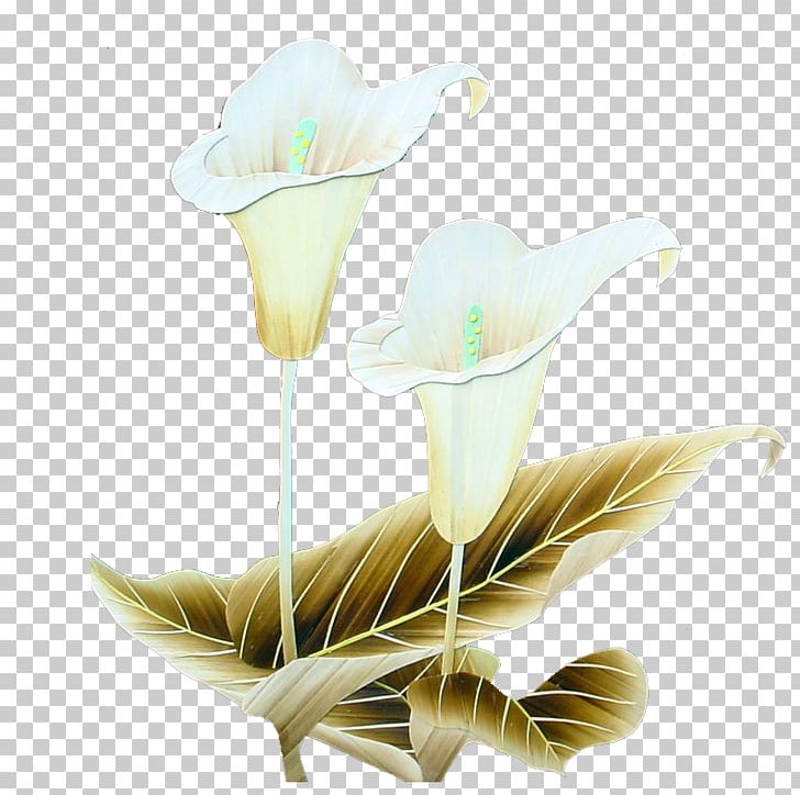 Floral Design Flower PNG, Clipart, Abstract, Abstract Arts, Arts, Calla Lily, Cut Flowers Free PNG Download