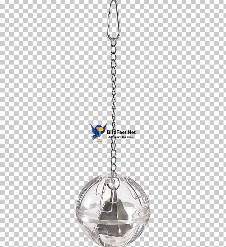 Grey Parrot Bird Toy Foraging PNG, Clipart, Animals, Ball And Chain, Bird, Body Jewellery, Body Jewelry Free PNG Download
