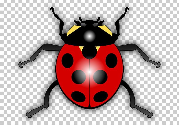 Ladybird YouTube PNG, Clipart, Arthropod, Beetle, Cartoon Caterpillar, Computer Icons, Drawing Free PNG Download