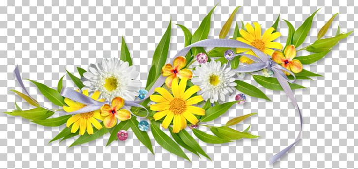 White Others Sunflower PNG, Clipart, Barre, Daisy, Daisy Family, Download, Drawing Free PNG Download
