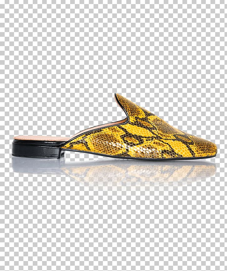 Product Design Shoe PNG, Clipart, Footwear, Mules, Others, Outdoor Shoe, Shoe Free PNG Download