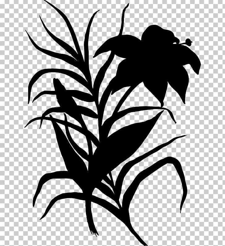 Flower Floral Design Petal PNG, Clipart, Artwork, Black And White, Branch, Drawing, Flora Free PNG Download