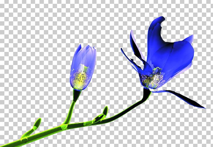 Flower Tulip PNG, Clipart, Blue, Branch, Cobalt Blue, Computer Wallpaper, Download Free PNG Download