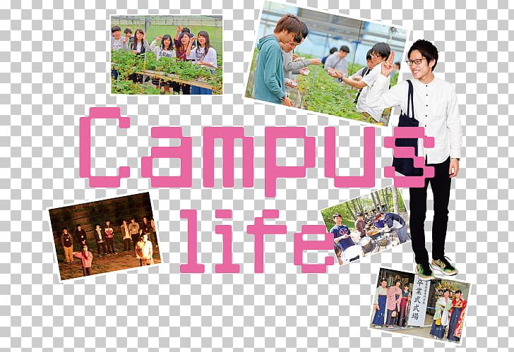 Hiroshimajoho Training School Woman クラブ活動 Recreation Collage PNG, Clipart, Advertising, Association, Campus, Collage, Female Free PNG Download
