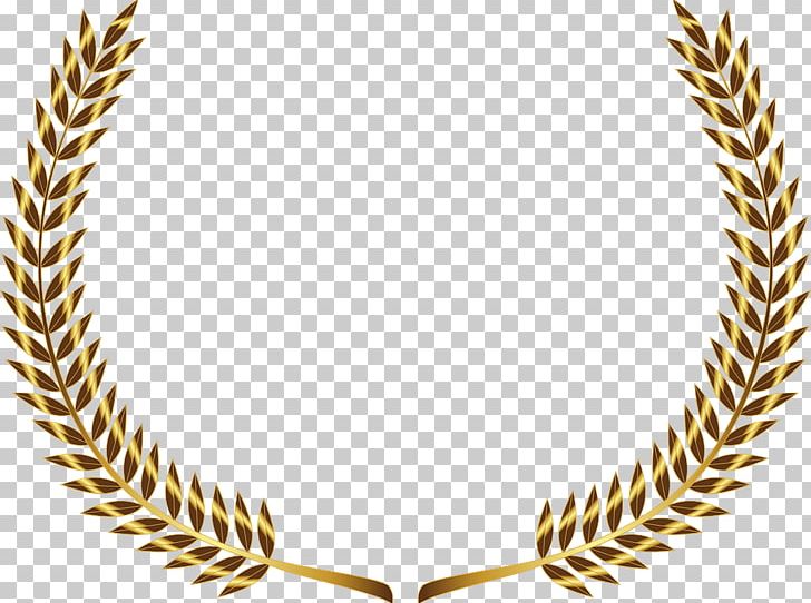 Laurel Wreath Gold Bay Laurel PNG, Clipart, Bay Laurel, Body Jewelry, Clip Art, Commodity, Gold Free PNG Download
