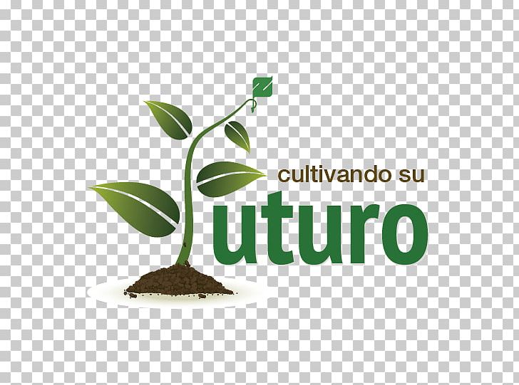Logo Font Brand Product PNG, Clipart, Brand, Cultivation Culture, Liquid, Logo Free PNG Download