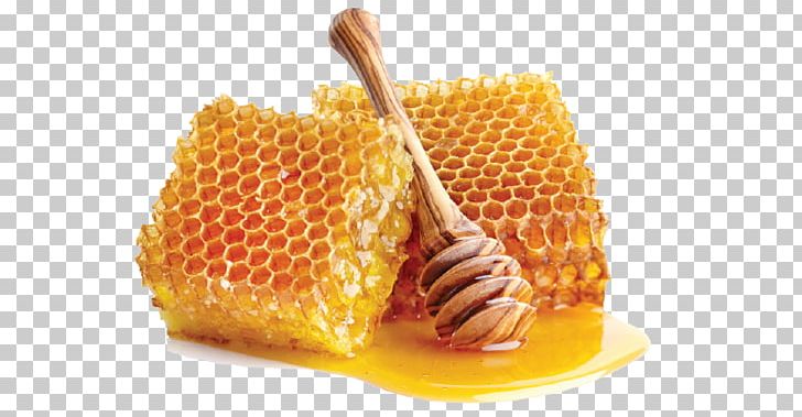Mānuka Honey Sugar Methylglyoxal Ingredient PNG, Clipart, Company, Corn On The Cob, Dish, Food, Health Free PNG Download