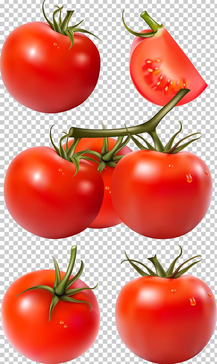 Tomato Tomatillo PNG, Clipart, Bush Tomato, Diet Food, Download, Encapsulated Postscript, Food Free PNG Download