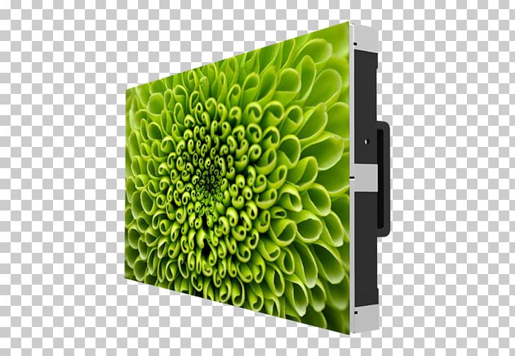 Video Wall Liquid-crystal Display Computer Monitors Display Device LED Display PNG, Clipart, 1080p, Activematrix Liquidcrystal Display, Computer Monitors, Digital Signs, Display Device Free PNG Download