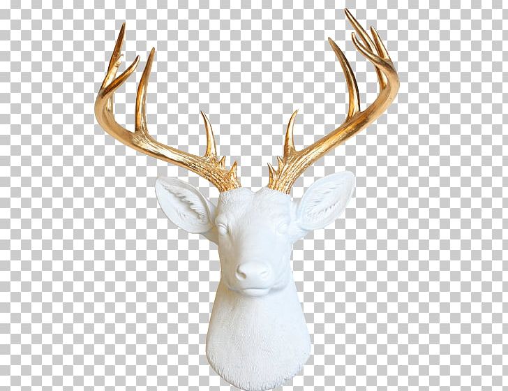White-tailed Deer Wall Decal Taxidermy Antler PNG, Clipart, Accent Wall, Animals, Antler, Craft, Deer Free PNG Download