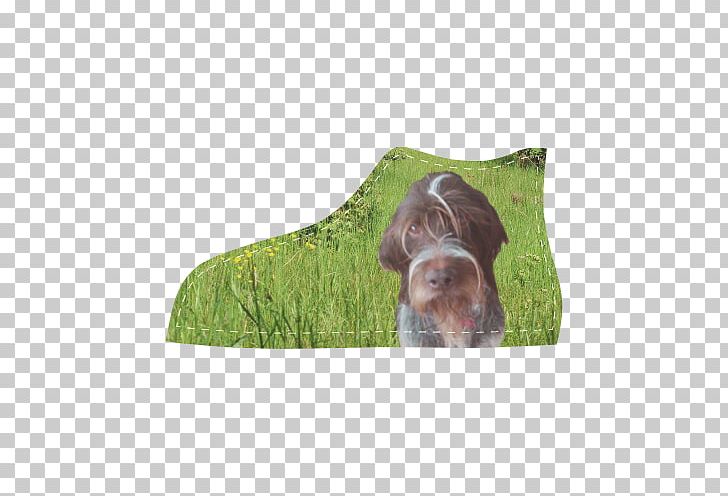 Dog Breed Wirehaired Pointing Griffon German Wirehaired Pointer Sporting Group PNG, Clipart, Breed, Dog, Dog Breed, Dog Like Mammal, German Wirehaired Pointer Free PNG Download