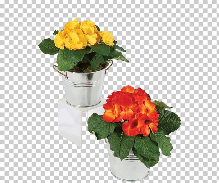 Floral Design Cut Flowers Gift Flowerpot PNG, Clipart, Annual Plant, Artificial Flowers, Basket, Begonia, Connells Maple Lee Flowers Gifts Free PNG Download