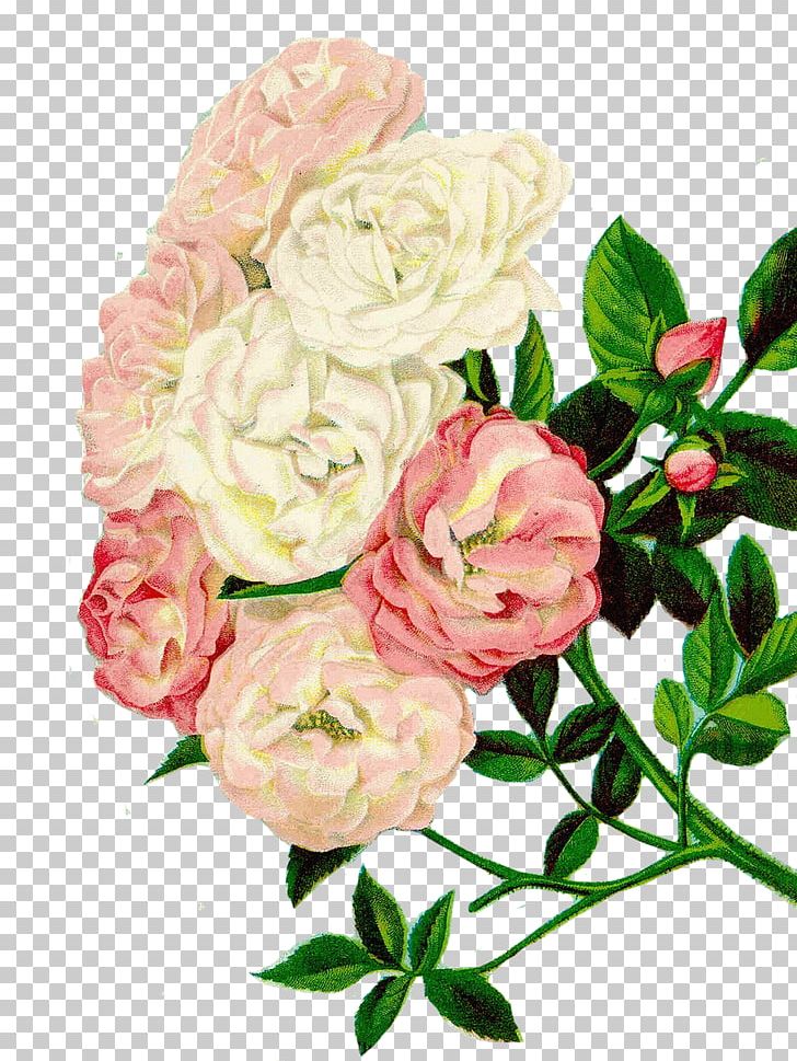 Flower Vintage Clothing Floral Design PNG, Clipart, Artificial Flower, Common Daisy, Cut Flowers, Designer, Floribunda Free PNG Download