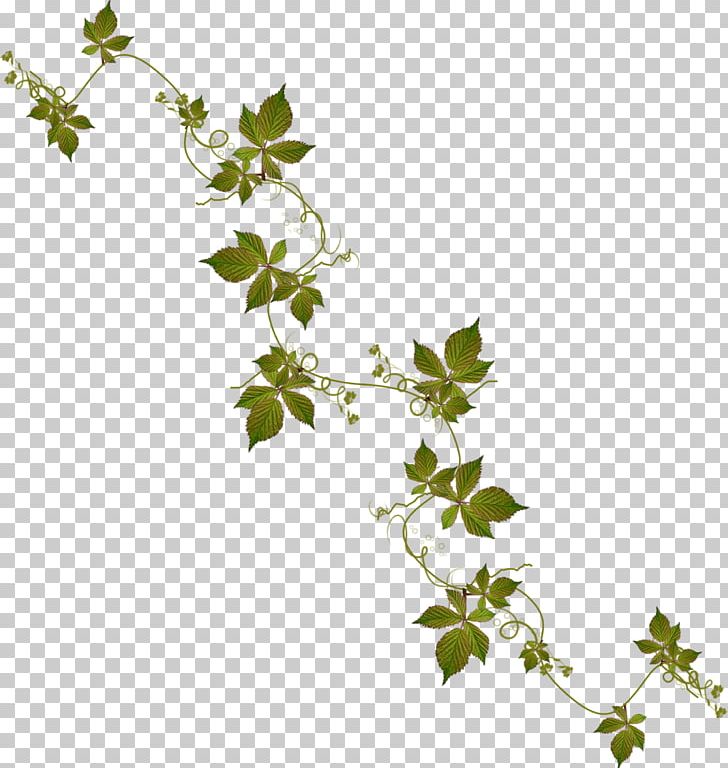 Leaf Branch Others PNG, Clipart, Antique, Branch, Computer Icons, Digital Image, Directory Free PNG Download