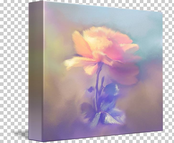 Lilac Violet Still Life Photography Flower PNG, Clipart, Celebrities, Flower, Flowering Plant, Lavender, Lilac Free PNG Download