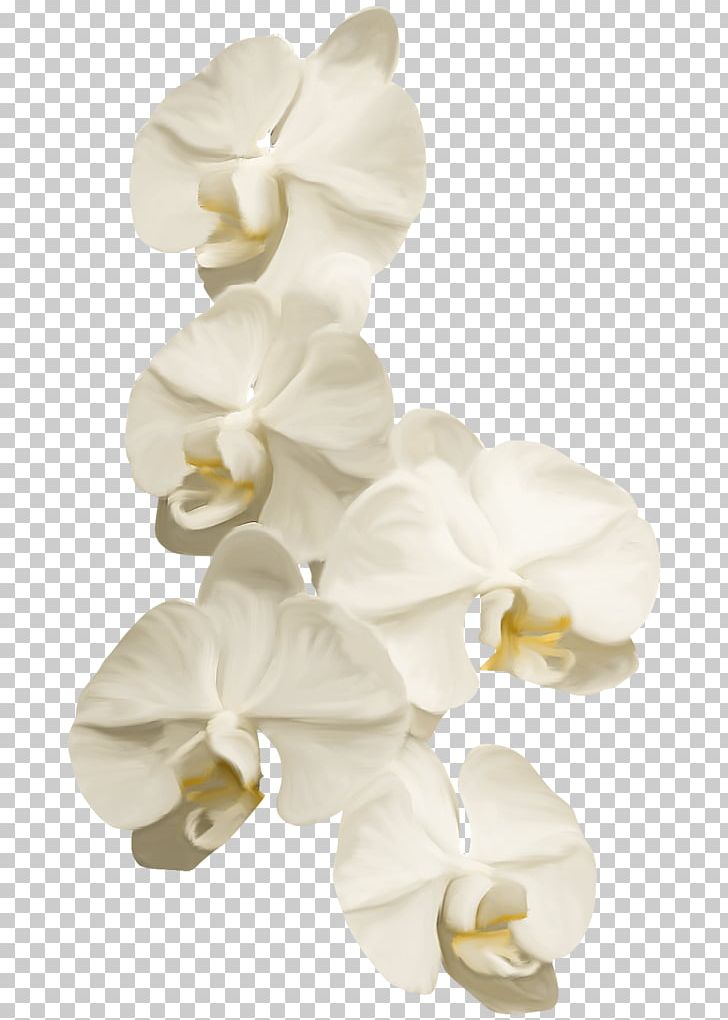 Moth Orchids Ты — моя нежность Cut Flowers PNG, Clipart, Creation, Cut Flowers, Deco, Fleur, Flower Free PNG Download