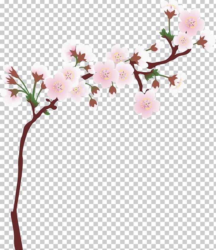 National Cherry Blossom Festival Cerasus Branch PNG, Clipart, Blossom, Cherry, Cherry Blossom, Decoration, Design Free PNG Download
