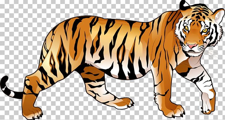 Riding The Tiger: How To Execute Business Strategy In India Bengal Tiger PNG, Clipart, Amit Kapoor, Animals, Big Cats, Business, Carnivoran Free PNG Download
