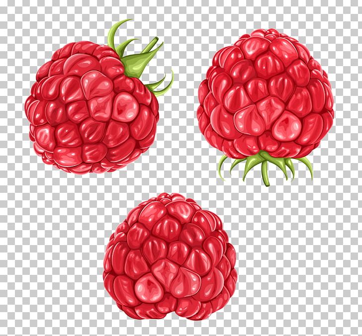 Raspberry Blackberry Fruit PNG, Clipart, Berry, Blackberry, Boysenberry, Compote, Food Free PNG Download