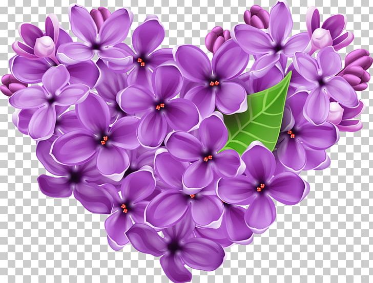 Flower Heart Lilac PNG, Clipart, Color, Crocus, Cut Flowers, Floral Design, Flower Free PNG Download