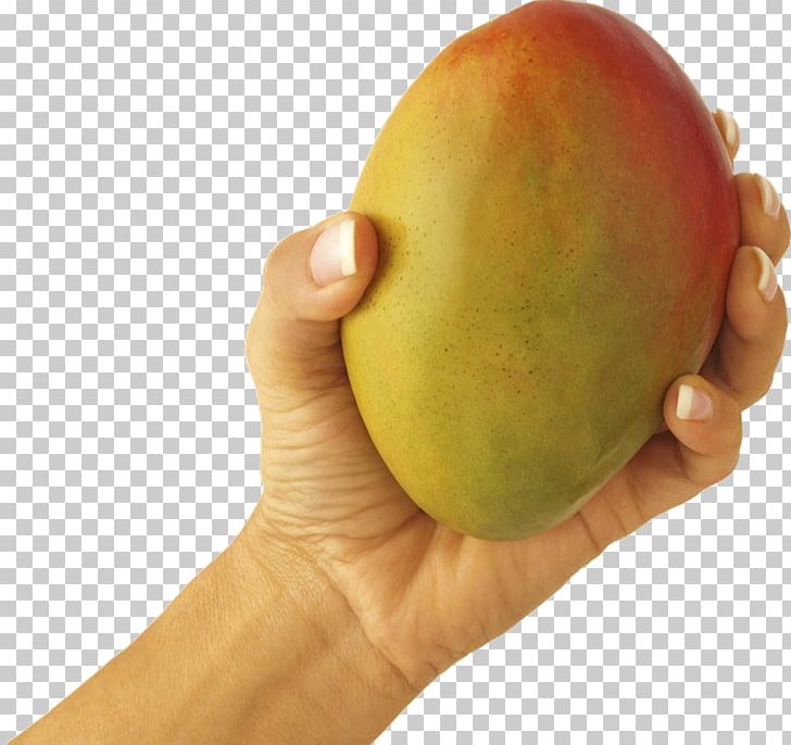 Mango Juice Fruit Veganism Food PNG, Clipart, Avocado, Ben Jerrys, Dessert, Dish, Food Free PNG Download