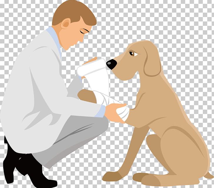 Puppy Cartoon Physician PNG, Clipart, Carnivoran, Cartoon, Cartoon Character, Cartoon Characters, Cartoon Eyes Free PNG Download