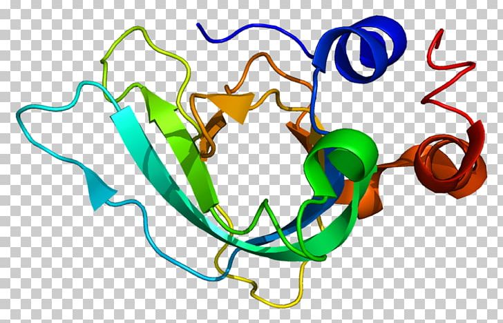 TIMP1 Tissue Inhibitor Of Metalloproteinase Matrix Metalloproteinase Enzyme Inhibitor PNG, Clipart, Area, Artwork, Cell, Enzyme Inhibitor, Gene Free PNG Download
