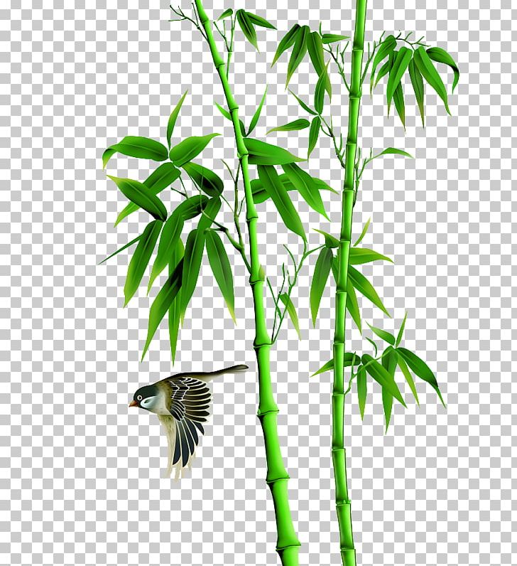Tropical Woody Bamboos Portable Network Graphics Ink Wash Painting PNG, Clipart, Arecales, Bamboo, Branch, Computer Icons, Download Free PNG Download