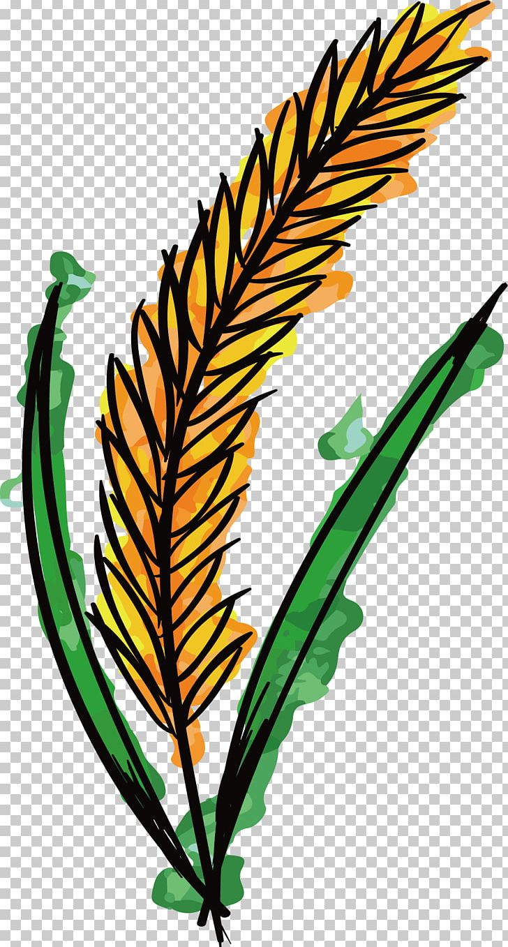 Watercolor Painting Wheat PNG, Clipart, Artwork, Branch, Color, Download, Drawing Free PNG Download