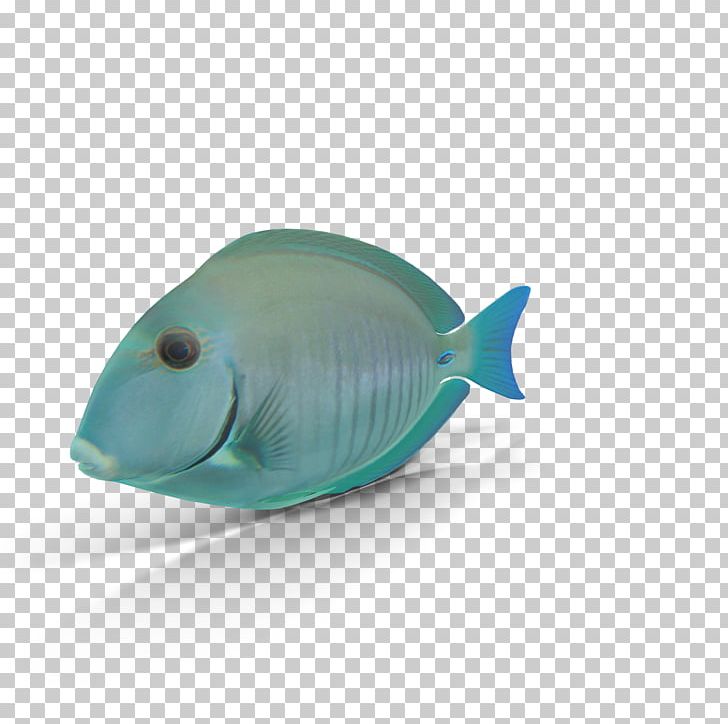 Blue Seabed Fish Organism PNG, Clipart, 3d Computer Graphics, Animals, Aqua, Aquatic, Blue Free PNG Download