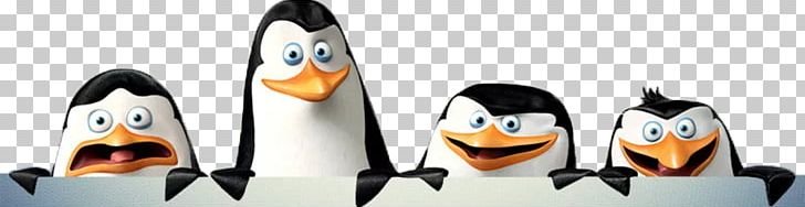 Madagascar Kowalski DreamWorks Animation PNG, Clipart, 321 Penguins, Animation, Bird, Dreamworks Animation, Eric Darnell Free PNG Download