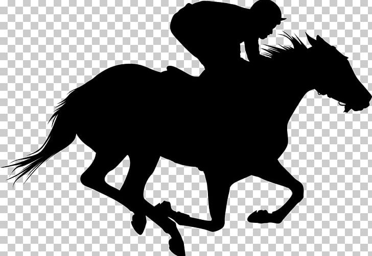 Thoroughbred The Kentucky Derby Horse Racing Equestrian PNG, Clipart, Belmont Park, Black And White, Bridle, Derby, English Riding Free PNG Download