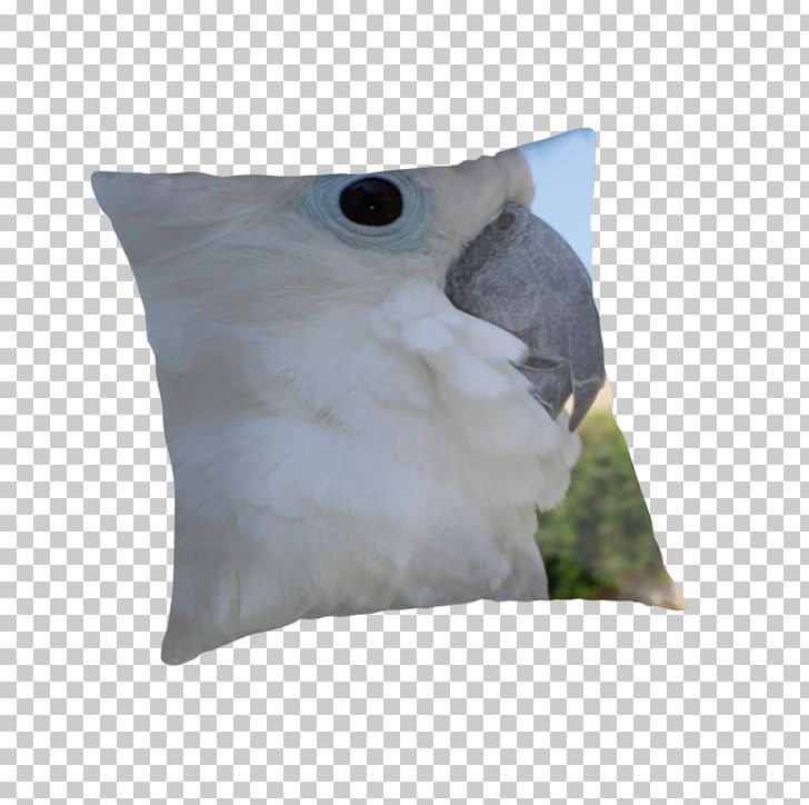 Throw Pillows Cushion Beak PNG, Clipart, Beak, Bird, Blue Eye, Cockatoo, Cushion Free PNG Download