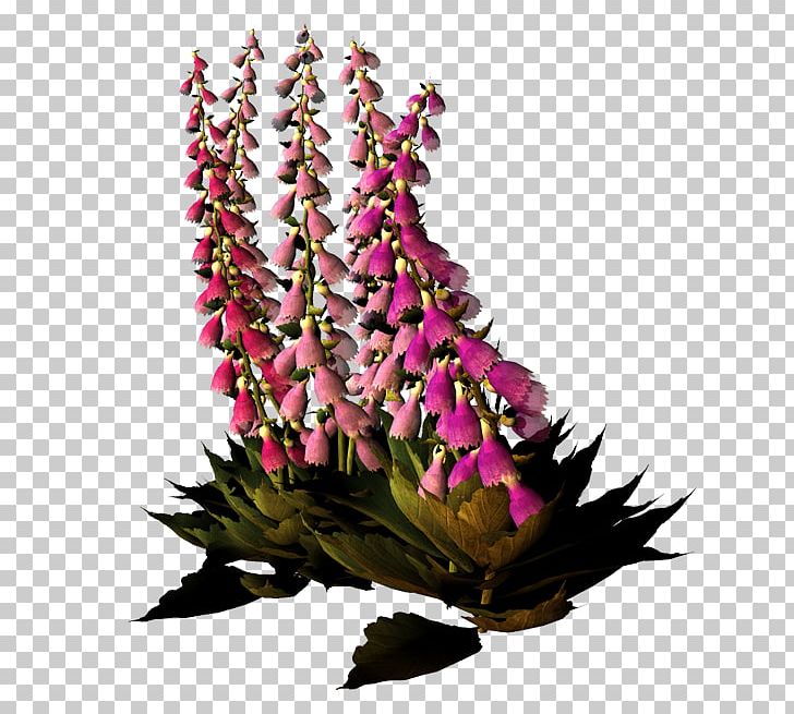 Floral Design Cut Flowers Blume PNG, Clipart, Blume, Blumen, Cicek, Cicek Resimleri, Cut Flowers Free PNG Download