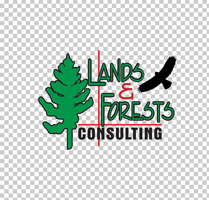 Tree Logo Forestry Forest Management PNG, Clipart, Brand, Burnt Trees, Canopy, Forest, Forest Management Free PNG Download