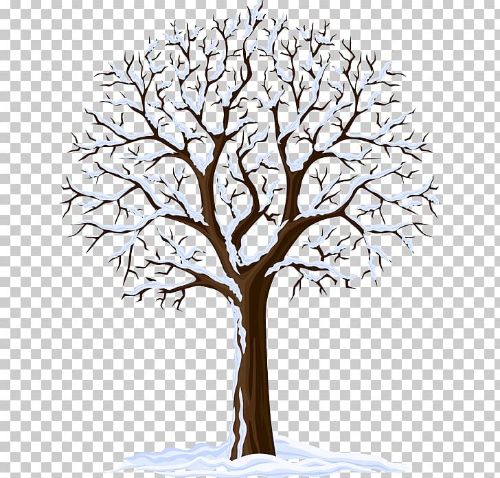 Winter Photography PNG, Clipart, Branch, Drawing, Flower, Nature, Photography Free PNG Download