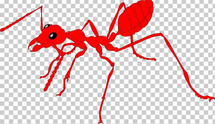 Ant Insect Network International Cargo Group Ltd Internet PNG, Clipart, Animal Figure, Animals, Ant, Ants, Area Free PNG Download