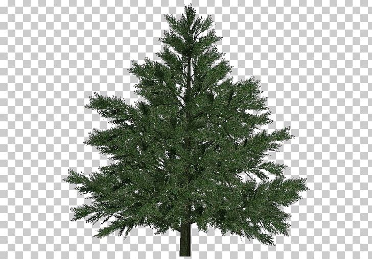 Artificial Christmas Tree Pre-lit Tree Balsam Hill PNG, Clipart, Artificial Christmas Tree, Balsam Fir, Balsam Hill, Biome, Branch Free PNG Download