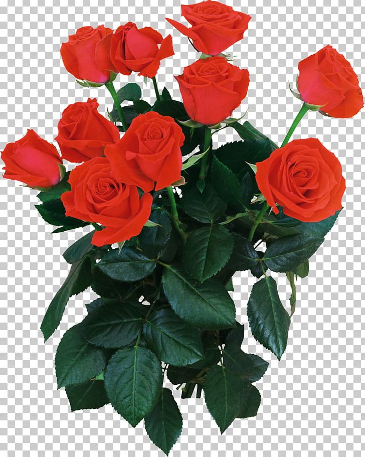 Garden Roses Flower Bouquet Moscow PNG, Clipart, Annual Plant, Artificial Flower, Begonia, China Rose, Cut Flowers Free PNG Download