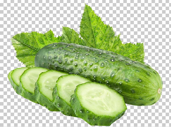 Vegetable Pickled Cucumber Slicing Cucumber Fruit PNG, Clipart, Background Green, Cabbage, Cucumber, Cucumber Gourd And Melon Family, Cucumber Slices Free PNG Download